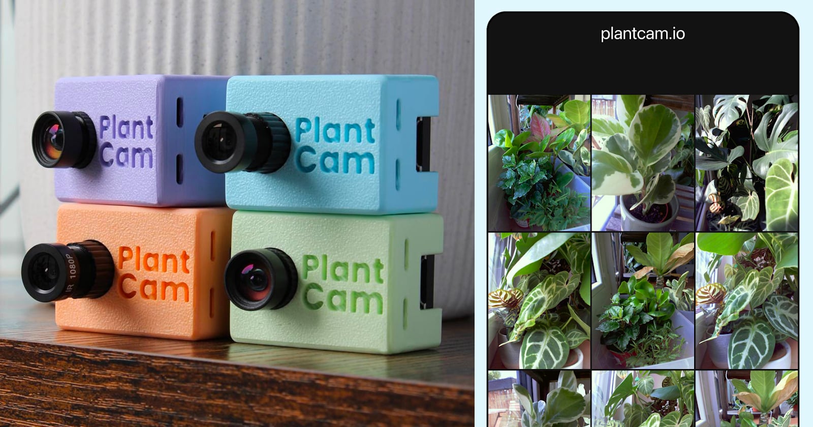 PlantCam Is a Timelapse Camera for, You Guessed It, Your Plants